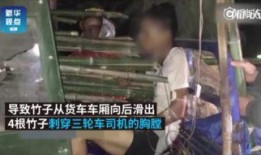 国产插屁眼免费视频播放,揭秘网络暗流涌动的秘密世界