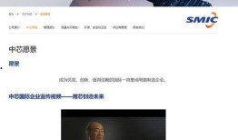 国产A片视频网站