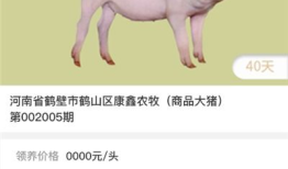 中国产手机养猪视频